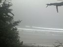 ./images/calvert/beach/20210621/beach20210621_101503.jpg