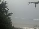 ./images/calvert/beach/20210621/beach20210621_102502.jpg