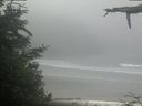 ./images/calvert/beach/20210621/beach20210621_103503.jpg