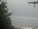 ./images/calvert/beach/20210621/beach20210621_104002.jpg