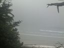 ./images/calvert/beach/20210621/beach20210621_104503.jpg