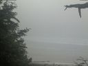 ./images/calvert/beach/20210621/beach20210621_105003.jpg