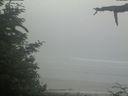 ./images/calvert/beach/20210621/beach20210621_105502.jpg