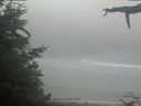 ./images/calvert/beach/20210621/beach20210621_110502.jpg