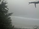 ./images/calvert/beach/20210621/beach20210621_111001.jpg