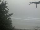 ./images/calvert/beach/20210621/beach20210621_111502.jpg