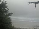 ./images/calvert/beach/20210621/beach20210621_112502.jpg