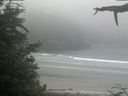 ./images/calvert/beach/20210621/beach20210621_113502.jpg