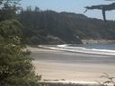 ./images/calvert/beach/20210621/beach20210621_141003.jpg