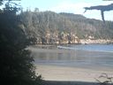 ./images/calvert/beach/20210624/beach20210624_202002.jpg