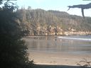./images/calvert/beach/20210625/beach20210625_201002.jpg