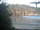 ./images/calvert/beach/20210625/beach20210625_211501.jpg