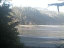 ./images/calvert/beach/20210626/beach20210626_081003.jpg