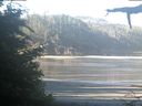 ./images/calvert/beach/20210626/beach20210626_082502.jpg