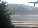 ./images/calvert/beach/20210626/beach20210626_084502.jpg