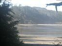 ./images/calvert/beach/20210626/beach20210626_085002.jpg