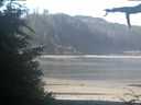 ./images/calvert/beach/20210626/beach20210626_090502.jpg