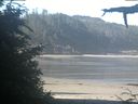 ./images/calvert/beach/20210626/beach20210626_091001.jpg