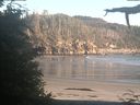 ./images/calvert/beach/20210626/beach20210626_203502.jpg