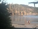 ./images/calvert/beach/20210626/beach20210626_205003.jpg