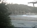 ./images/calvert/beach/20210626/beach20210626_220502.jpg