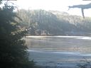 ./images/calvert/beach/20210627/beach20210627_081002.jpg