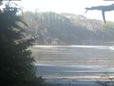 ./images/calvert/beach/20210627/beach20210627_082503.jpg