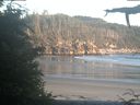 ./images/calvert/beach/20210627/beach20210627_210501.jpg