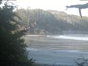 ./images/calvert/beach/20210628/beach20210628_080001.jpg