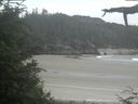 ./images/calvert/beach/20210629/beach20210629_132502.jpg