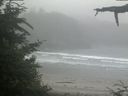 ./images/calvert/beach/20210701/beach20210701_072003.jpg