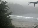 ./images/calvert/beach/20210701/beach20210701_072503.jpg