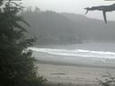 ./images/calvert/beach/20210701/beach20210701_074002.jpg