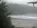 ./images/calvert/beach/20210701/beach20210701_083503.jpg