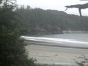 ./images/calvert/beach/20210703/beach20210703_080501.jpg