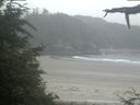 ./images/calvert/beach/20210704/beach20210704_062002.jpg