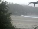 ./images/calvert/beach/20210704/beach20210704_062501.jpg