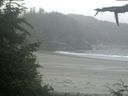 ./images/calvert/beach/20210704/beach20210704_064502.jpg