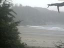 ./images/calvert/beach/20210704/beach20210704_071502.jpg