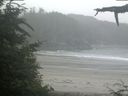 ./images/calvert/beach/20210704/beach20210704_073502.jpg