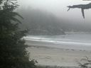 ./images/calvert/beach/20210704/beach20210704_191502.jpg
