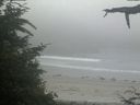 ./images/calvert/beach/20210704/beach20210704_193502.jpg