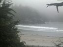 ./images/calvert/beach/20210704/beach20210704_194002.jpg