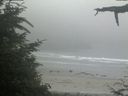 ./images/calvert/beach/20210704/beach20210704_195001.jpg