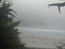./images/calvert/beach/20210704/beach20210704_195503.jpg