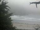 ./images/calvert/beach/20210704/beach20210704_200502.jpg