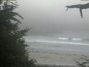 ./images/calvert/beach/20210704/beach20210704_201002.jpg