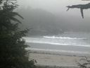 ./images/calvert/beach/20210704/beach20210704_201502.jpg