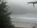 ./images/calvert/beach/20210704/beach20210704_202002.jpg