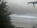 ./images/calvert/beach/20210704/beach20210704_202503.jpg